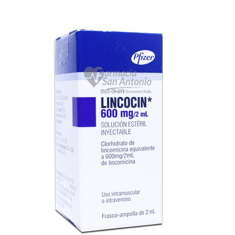 LINCOCIN 600MG X 1 AMP 2 ML